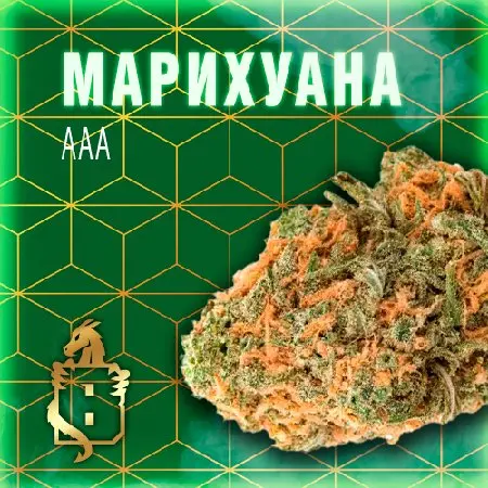 💎 PREMIUM Шишки Gorilla Glue [GYBRID / ~23.5% ТГК]