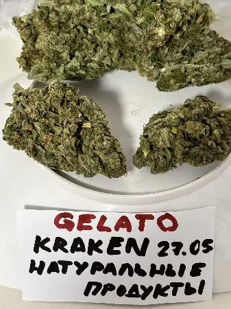 Gelato 42