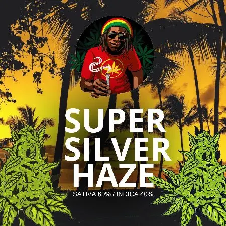 SUPER Silver Haze