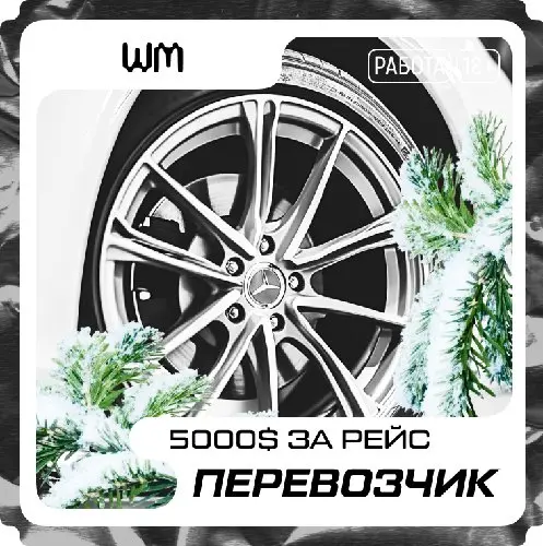 🖤Премиум-Перевозчик 5000$♥️